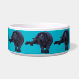 Tierschale für jede größere Hundezucht Napf