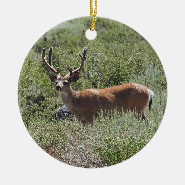 Tierschmuck, Maultier, Natur, Tiere Keramik Ornament (Vorne)