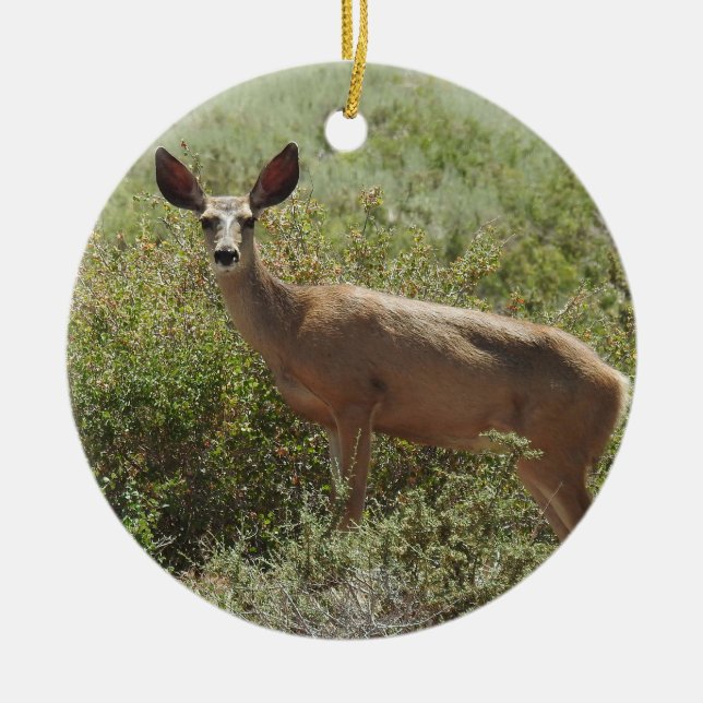 Tierschmuck, Maultier, Rehe, Tiere, Natur Keramik Ornament (Vorne)