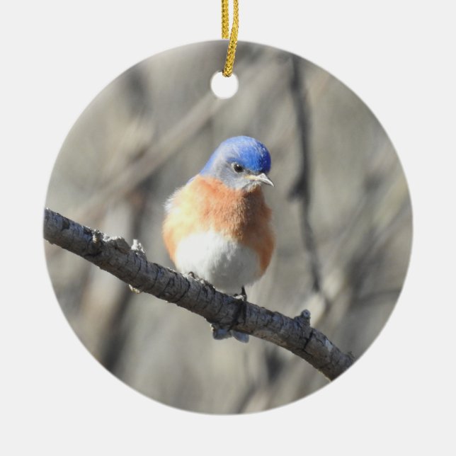 Tierschmuck, Ostvögel, Vögel, Natur Keramik Ornament (Vorne)