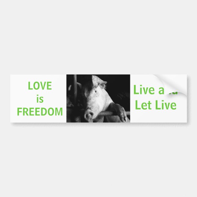 Tierschutz Piggy Vegan Car Autoaufkleber (Vorne)