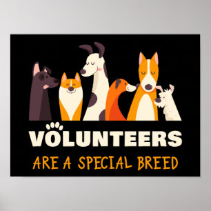 Tierschutzverein für besondere Hunderassen Poster