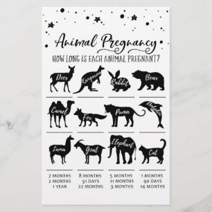 Tierschwangerschaft mit Answers Baby Showgame