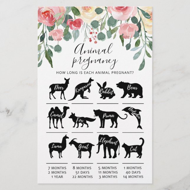 Tierschwangerschaft mit Answers Baby Showgame (Vorderseite)