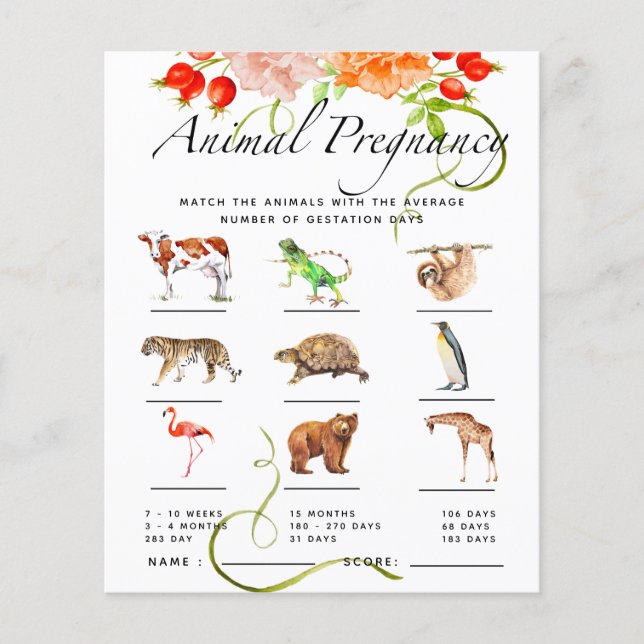 Tierschwangerschaft Pumpkin Baby Duschspiel (Vorderseite)