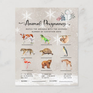 Tierschwangerschaft Winter Baby Showspiel