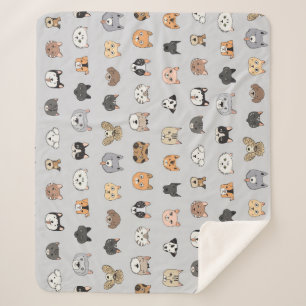 Tierspass: Hunde bei Katzen Doodle Mix Sherpadecke
