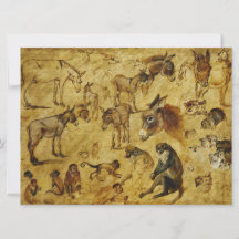 Tierstudien: Esel, Affen, Katzen und Hunde