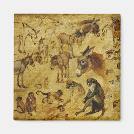 Tierstudien: Esel, Affen, Katzen und Hunde Magnet