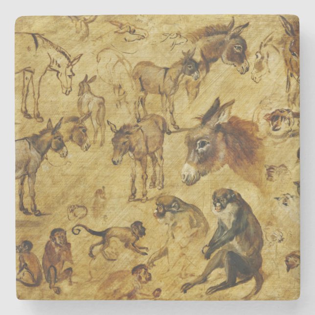 Tierstudien: Esel, Affen, Katzen und Hunde Steinuntersetzer (Vorderseite)