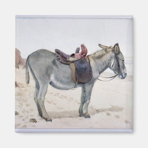 Tierstudien Magnet