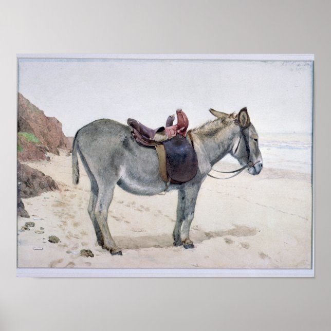 Tierstudien Poster (Vorne)