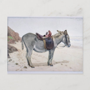 Tierstudien Postkarte