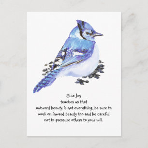 Tiertotem Blau Jay Inspiration Naturleitfaden Postkarte