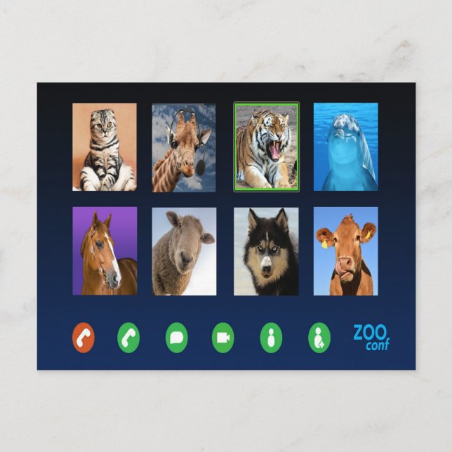 Tiervideokonferenz Postkarte (Vorderseite)