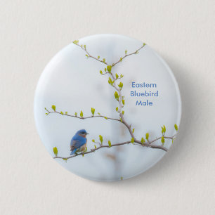Tiervogel-Ostdrossel Button