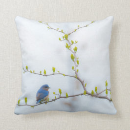 Tiervogel-Ostdrossel Kissen