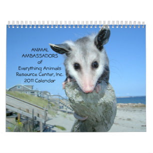 Tierwandkalender botschafter-2011 kalender