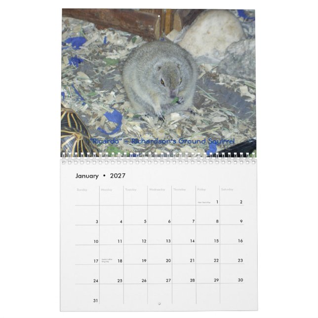 Tierwandkalender botschafter-2011 kalender (Jan 2027)