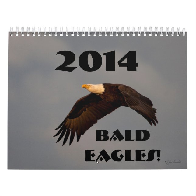 TierWandkalender-Weißkopfseeadler 2014 Kalender (Titelbild)