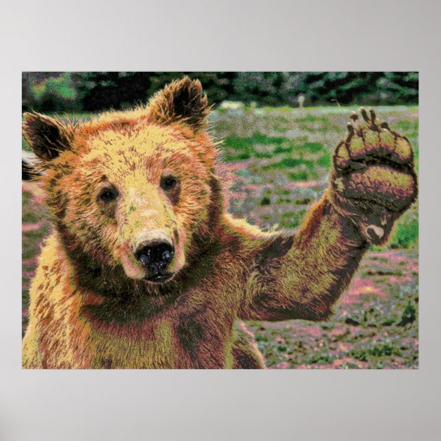 Tierwelt 15 verschwommen poster (Vorne)