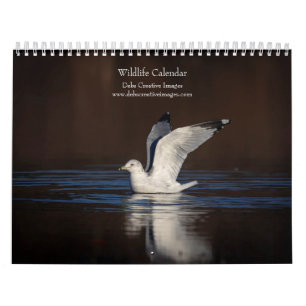 Tierwelt 2024 kalender