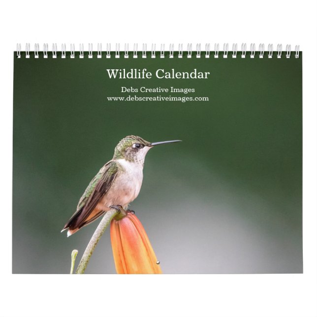 Tierwelt 2026 kalender (Titelbild)