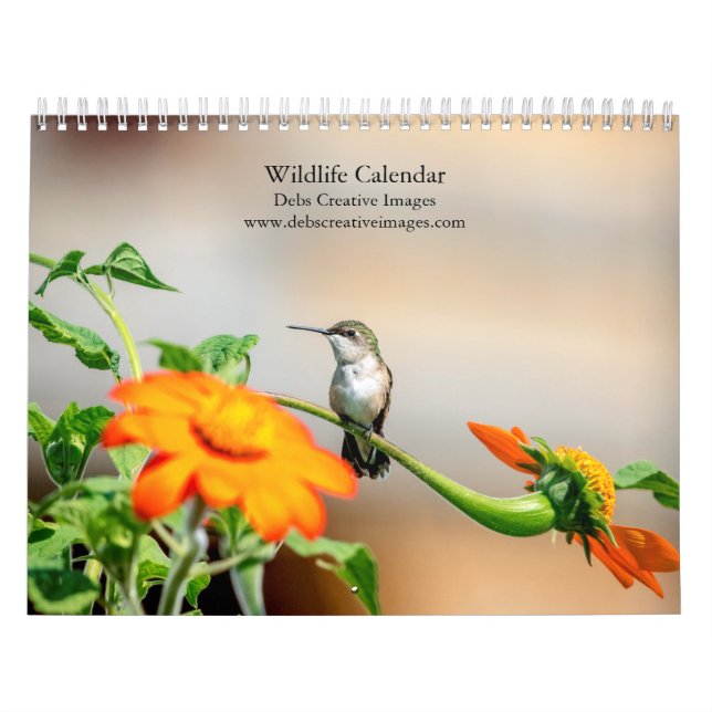 Tierwelt 2026 kalender (Titelbild)