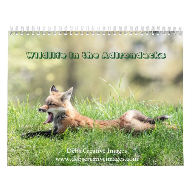 Tierwelt im Kalender der Adirondacks 2026 (Titelbild)
