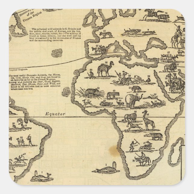 Tierwelt Quadratischer Aufkleber (Vorderseite)