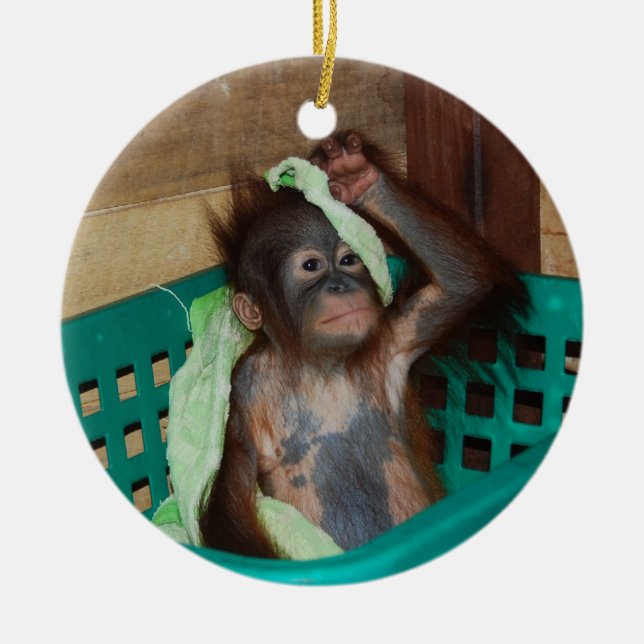 TierWohltätigkeit-Spenden Keramikornament (Vorne)