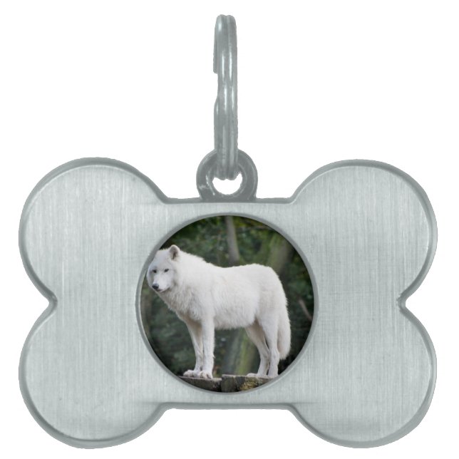 Tierwolf-Natur-FriedensLiebe-Schicksal Tiermarke (Vorderseite)