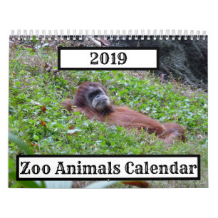 Tierzeitplan 2019 kalender