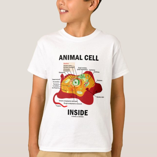 Tierzellen-Innere (Eukaryote-Zellbiologie) T-Shirt (Vorderseite)