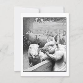 Tierzucht - Squealer Postkarte