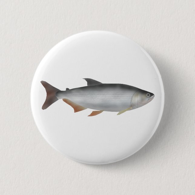 Tiete tetra button (Vorderseite)