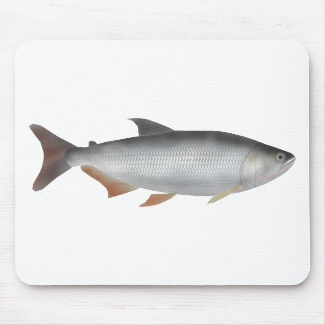 Tiete tetra mousepad (Vorne)