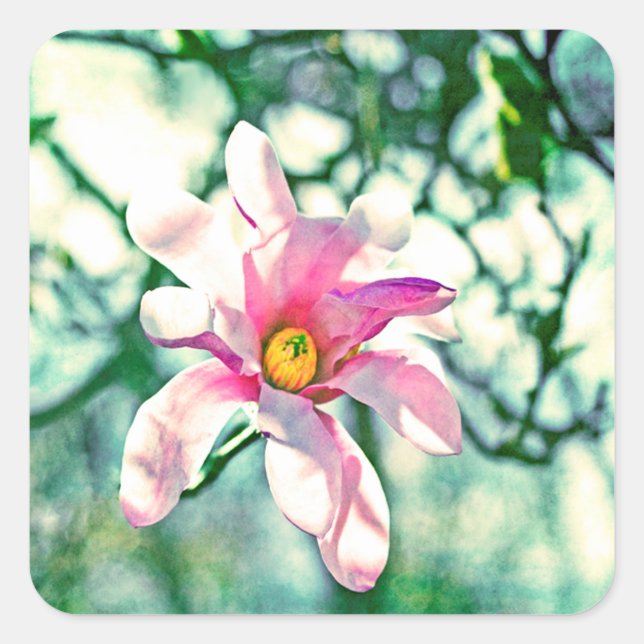 Tiffany Magnolia Quadratischer Aufkleber (Vorderseite)