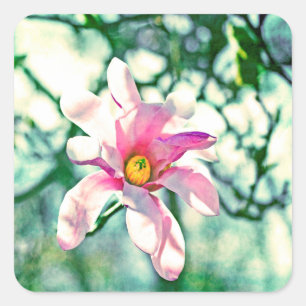 Tiffany Magnolia Quadratischer Aufkleber