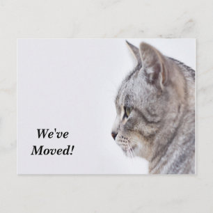 Tiffany Wir haben neue Postkarte