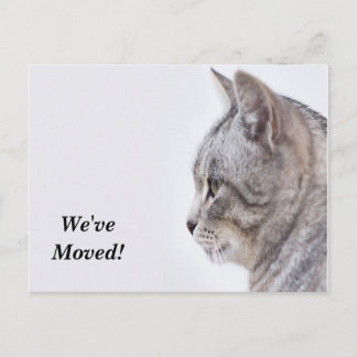Tiffany Wir haben neue Postkarte