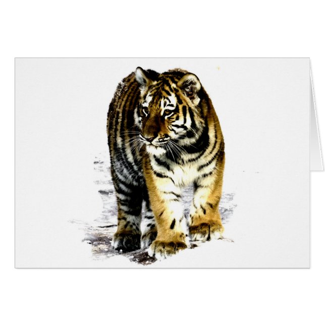 Tiger (Vorderseite (Horizontal))