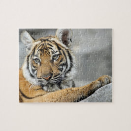 Tiger017 Puzzle