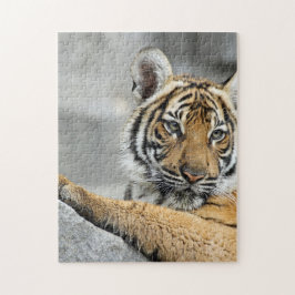 Tiger16 Puzzle