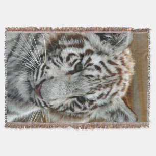 Tiger20151001 Decke