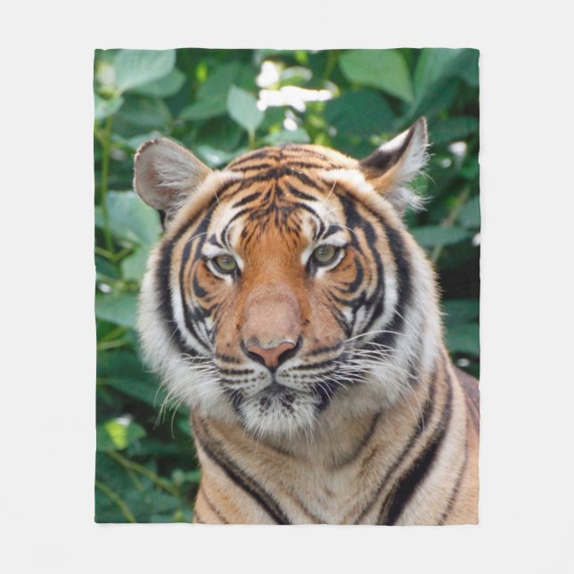 Tiger 001 fleecedecke (Vorderseite)