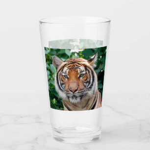 Tiger 001 glas