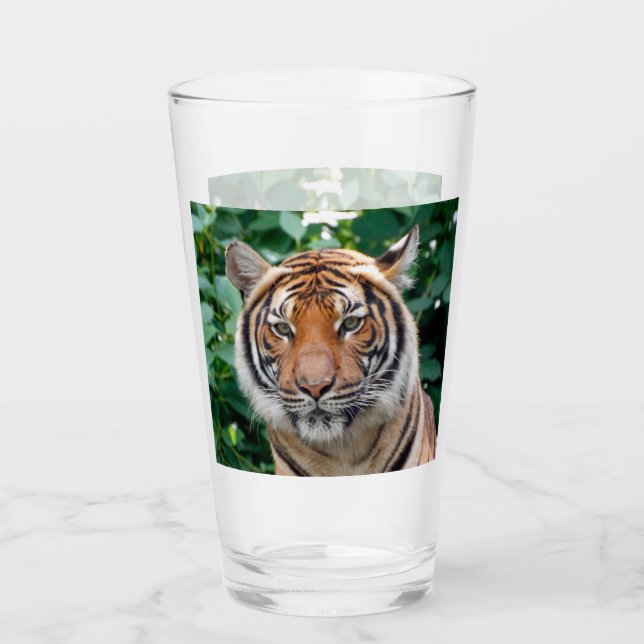 Tiger 001 glas (Vorderseite)