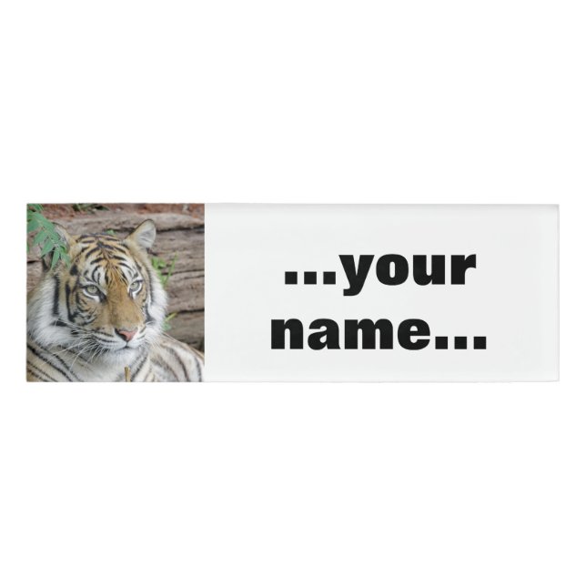 Tiger_002 Namenschild (Vorderseite)