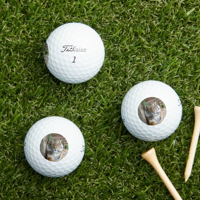 Tiger 005 golfball (Insitu Gras)